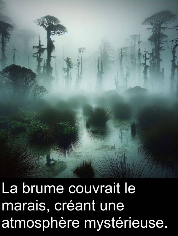 atmosphère: La brume couvrait le marais, créant une atmosphère mystérieuse.