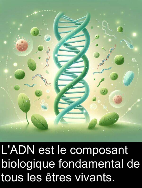 biologique: L'ADN est le composant biologique fondamental de tous les êtres vivants.