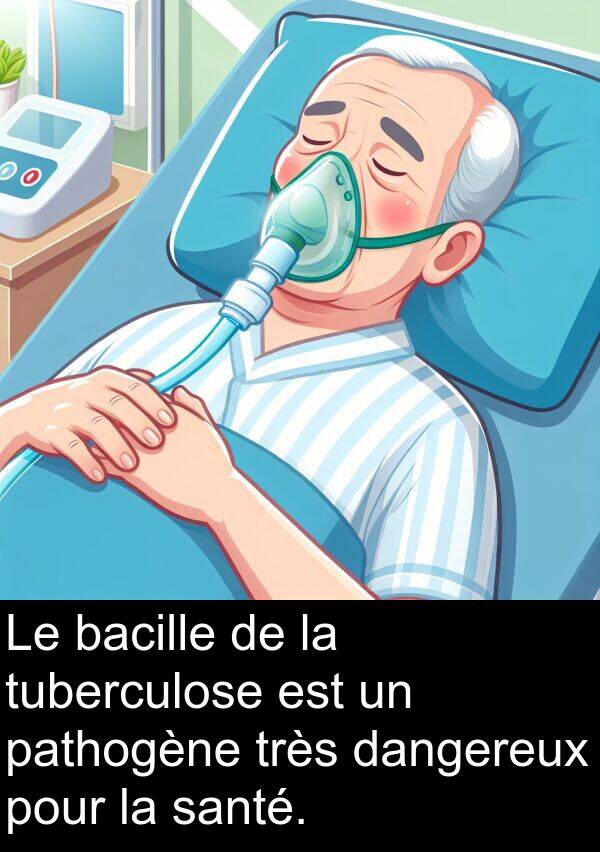 dangereux: Le bacille de la tuberculose est un pathogène très dangereux pour la santé.