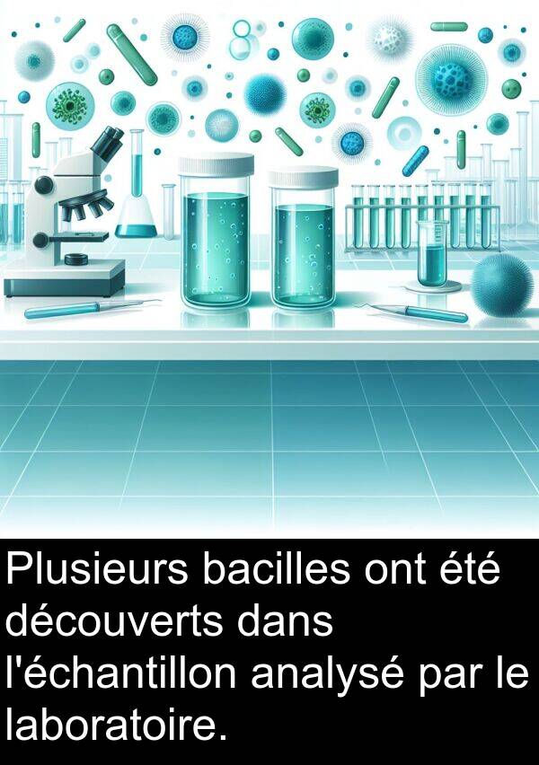 bacilles: Plusieurs bacilles ont été découverts dans l'échantillon analysé par le laboratoire.