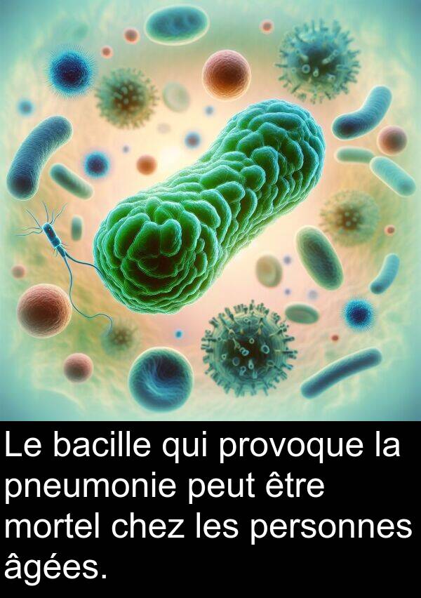mortel: Le bacille qui provoque la pneumonie peut être mortel chez les personnes âgées.