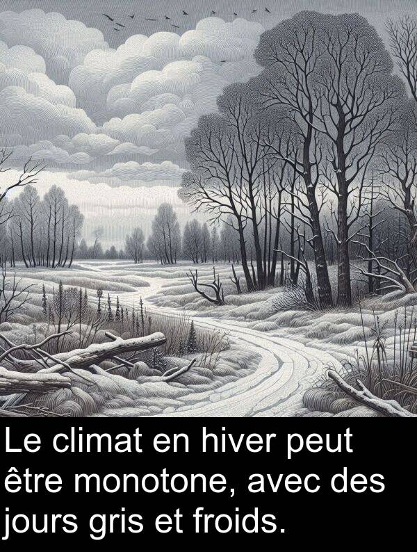 jours: Le climat en hiver peut être monotone, avec des jours gris et froids.