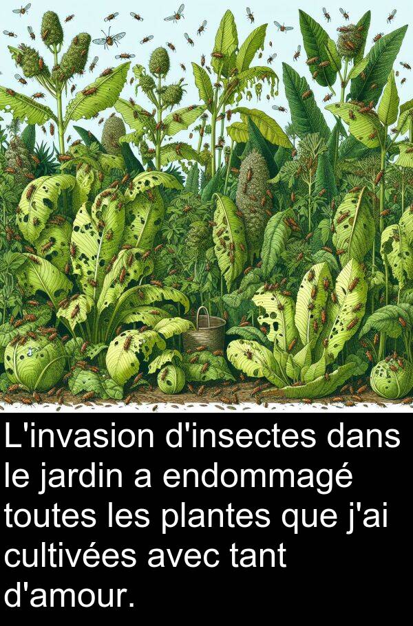 cultivées: L'invasion d'insectes dans le jardin a endommagé toutes les plantes que j'ai cultivées avec tant d'amour.