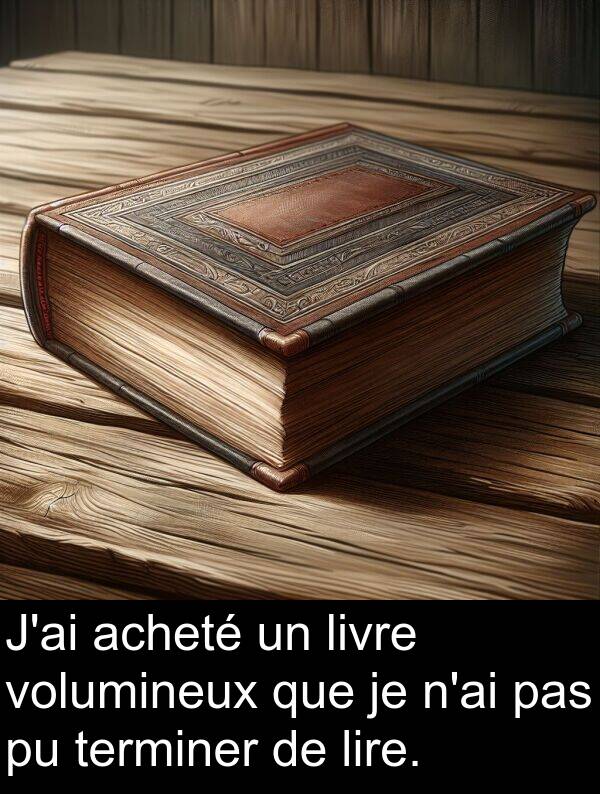 lire: J'ai acheté un livre volumineux que je n'ai pas pu terminer de lire.