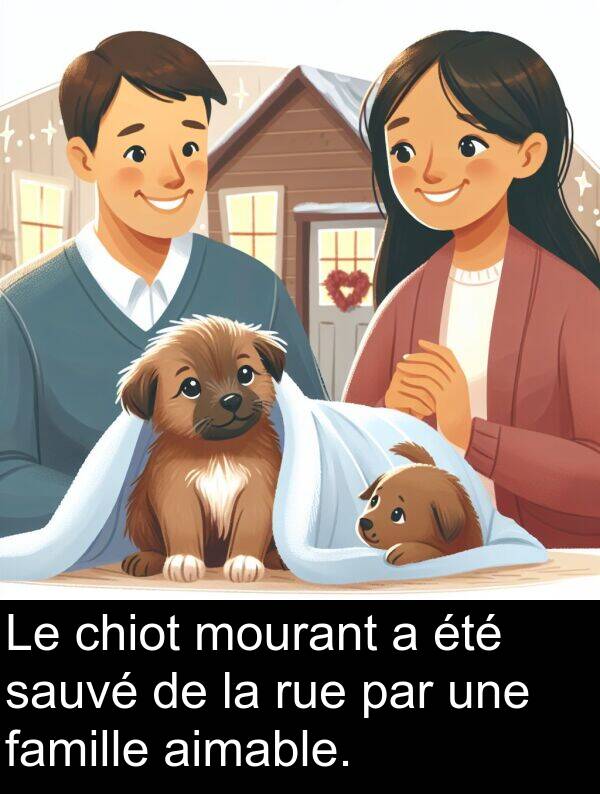 chiot: Le chiot mourant a été sauvé de la rue par une famille aimable.