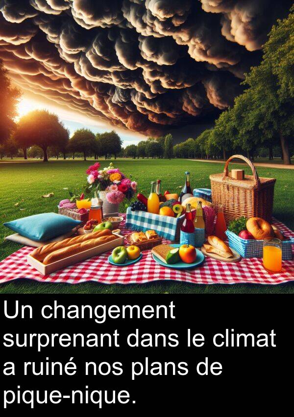 surprenant: Un changement surprenant dans le climat a ruiné nos plans de pique-nique.