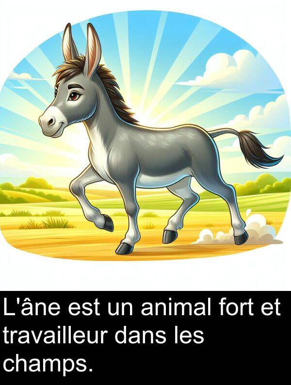 champs: L'âne est un animal fort et travailleur dans les champs.