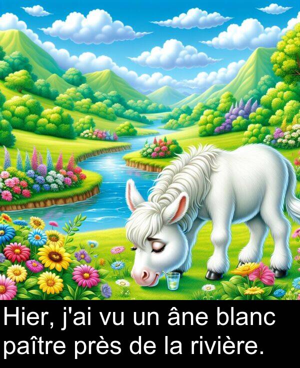 blanc: Hier, j'ai vu un âne blanc paître près de la rivière.