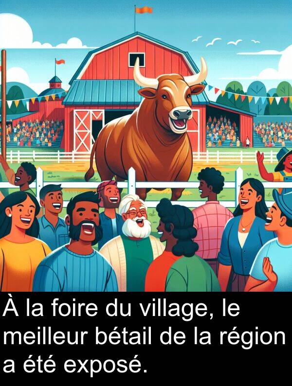 bétail: À la foire du village, le meilleur bétail de la région a été exposé.