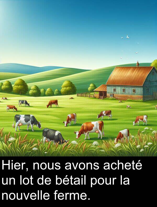 ferme: Hier, nous avons acheté un lot de bétail pour la nouvelle ferme.