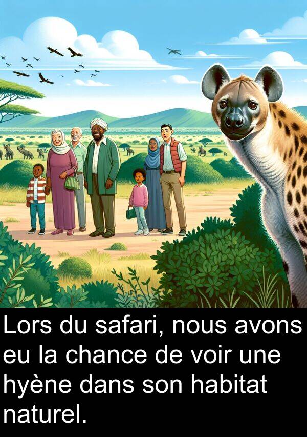 naturel: Lors du safari, nous avons eu la chance de voir une hyène dans son habitat naturel.