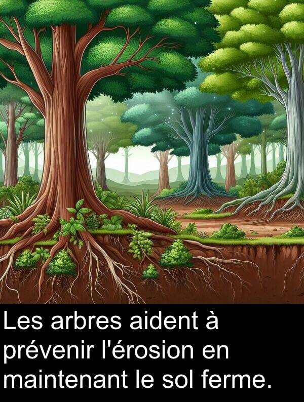 ferme: Les arbres aident à prévenir l'érosion en maintenant le sol ferme.