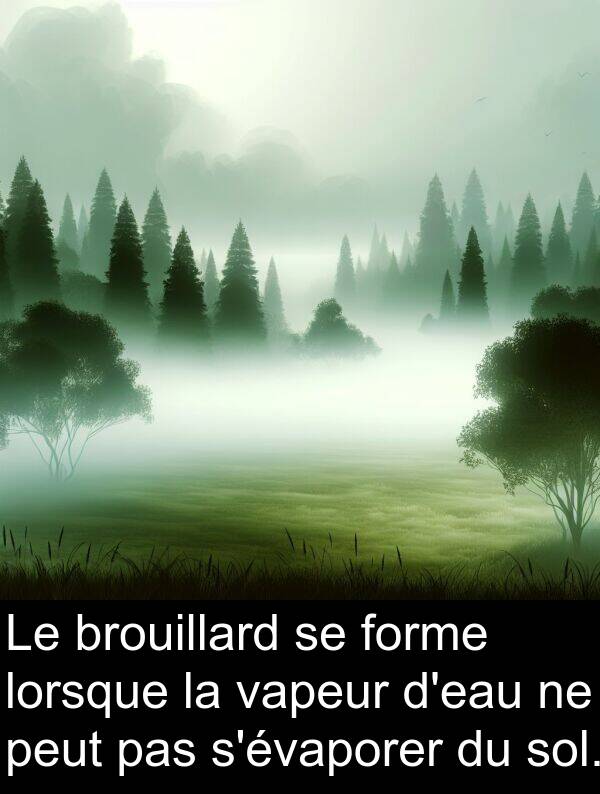 sol: Le brouillard se forme lorsque la vapeur d'eau ne peut pas s'évaporer du sol.