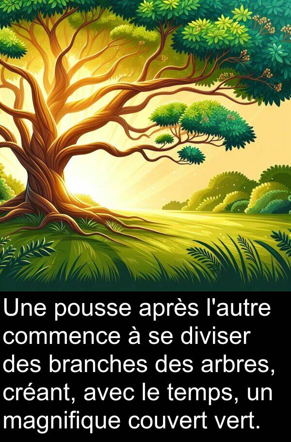 branches: Une pousse après l'autre commence à se diviser des branches des arbres, créant, avec le temps, un magnifique couvert vert.