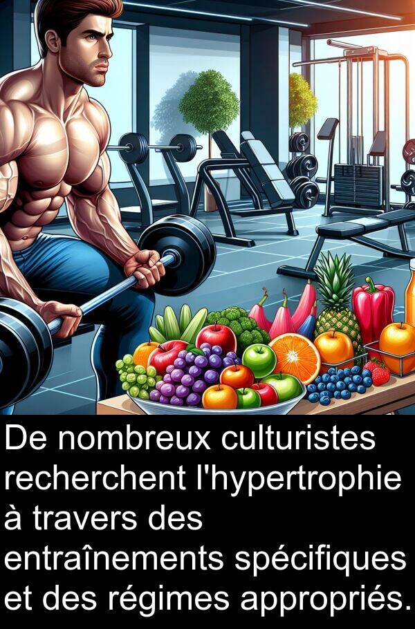 entraînements: De nombreux culturistes recherchent l'hypertrophie à travers des entraînements spécifiques et des régimes appropriés.