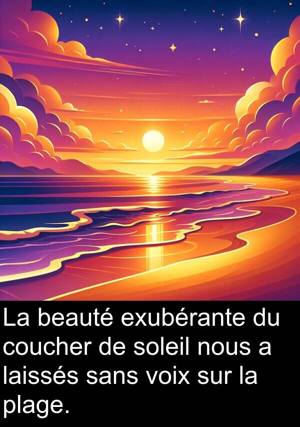 beauté: La beauté exubérante du coucher de soleil nous a laissés sans voix sur la plage.