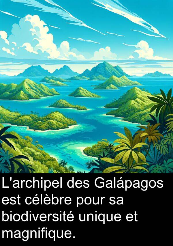 unique: L'archipel des Galápagos est célèbre pour sa biodiversité unique et magnifique.