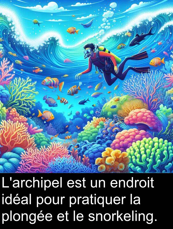 snorkeling: L'archipel est un endroit idéal pour pratiquer la plongée et le snorkeling.