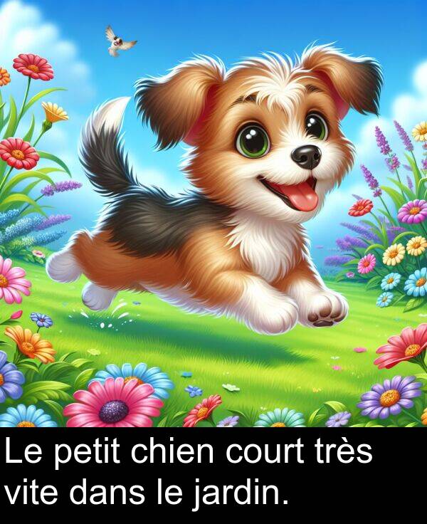 dans: Le petit chien court très vite dans le jardin.
