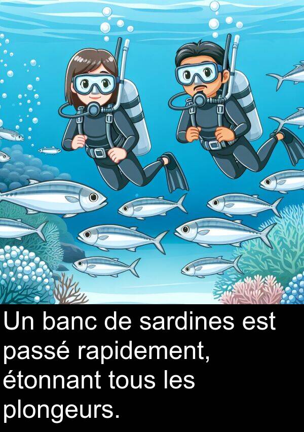 rapidement: Un banc de sardines est passé rapidement, étonnant tous les plongeurs.