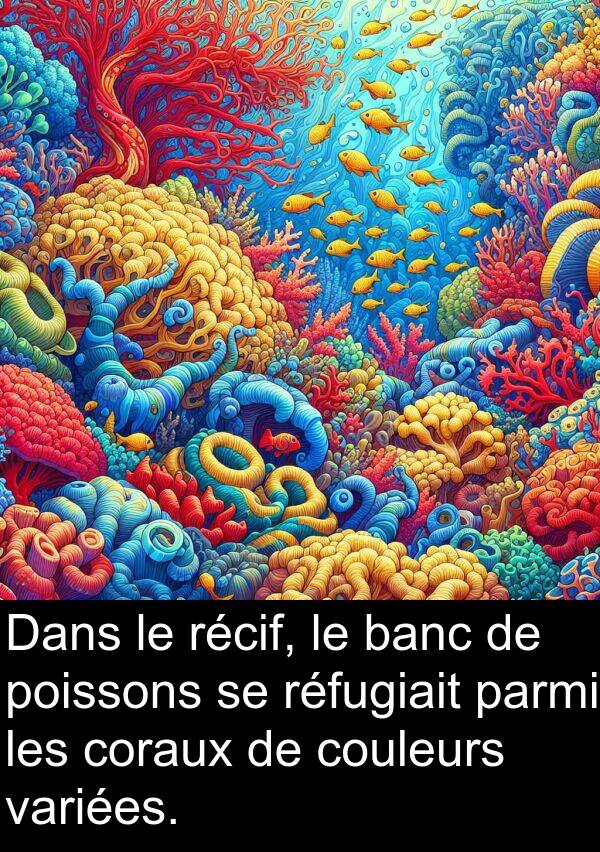 réfugiait: Dans le récif, le banc de poissons se réfugiait parmi les coraux de couleurs variées.