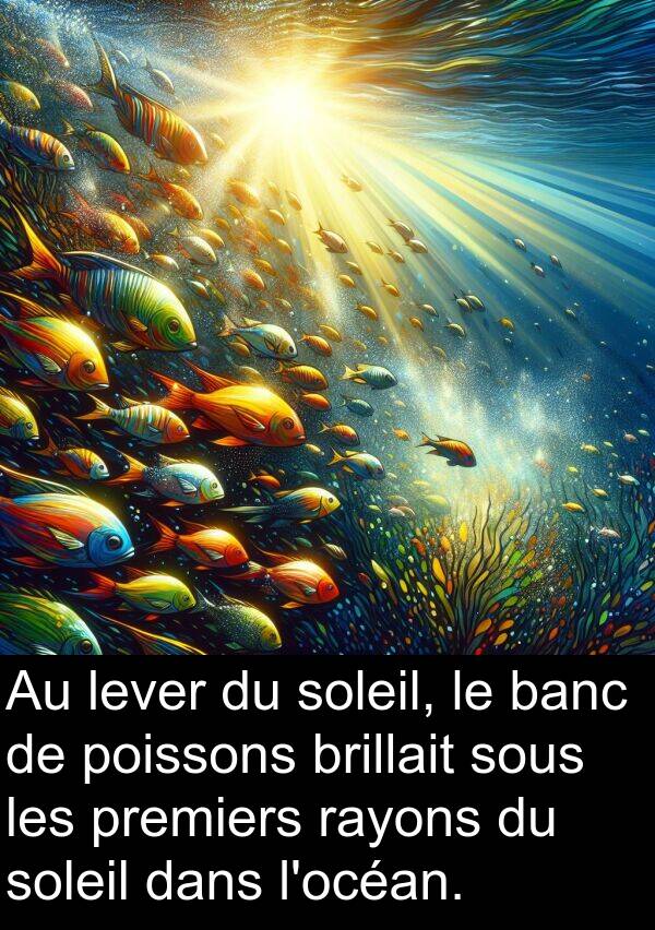 lever: Au lever du soleil, le banc de poissons brillait sous les premiers rayons du soleil dans l'océan.