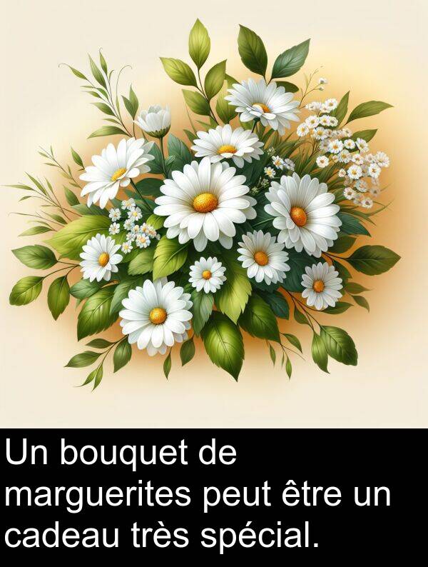 spécial: Un bouquet de marguerites peut être un cadeau très spécial.