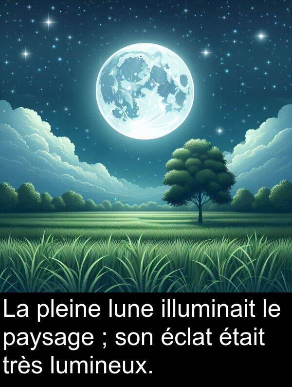 lune: La pleine lune illuminait le paysage ; son éclat était très lumineux.