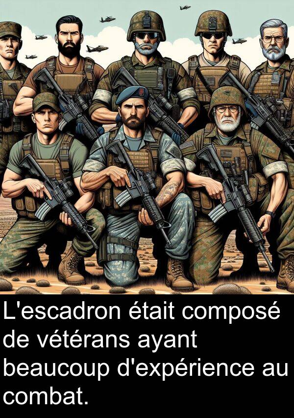 composé: L'escadron était composé de vétérans ayant beaucoup d'expérience au combat.