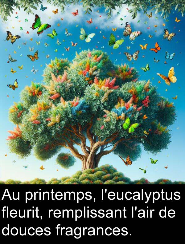 fleurit: Au printemps, l'eucalyptus fleurit, remplissant l'air de douces fragrances.