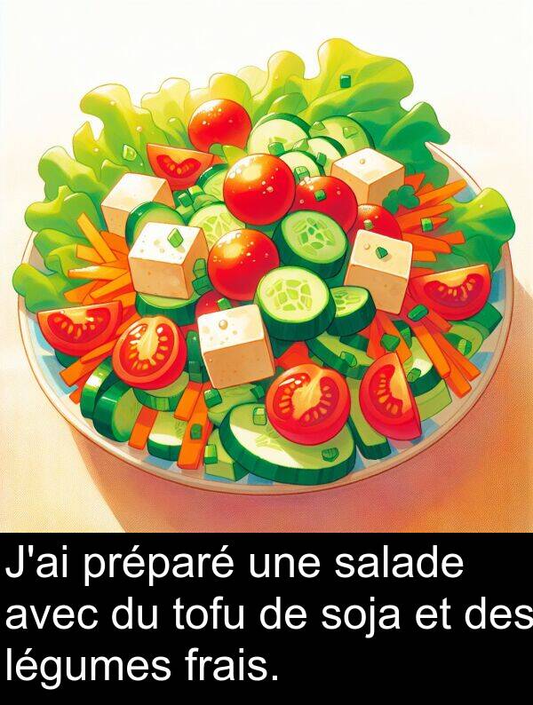 tofu: J'ai préparé une salade avec du tofu de soja et des légumes frais.