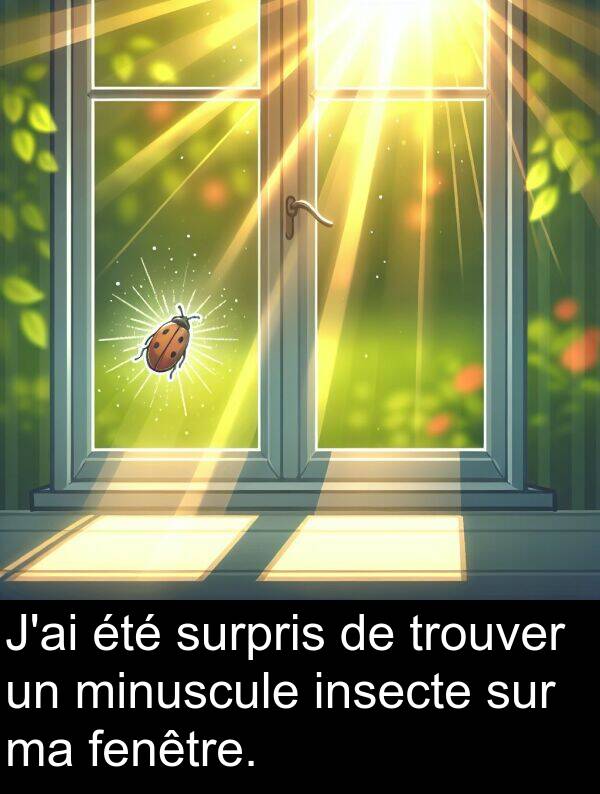 surpris: J'ai été surpris de trouver un minuscule insecte sur ma fenêtre.