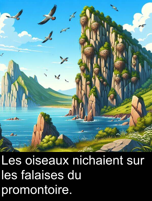 nichaient: Les oiseaux nichaient sur les falaises du promontoire.