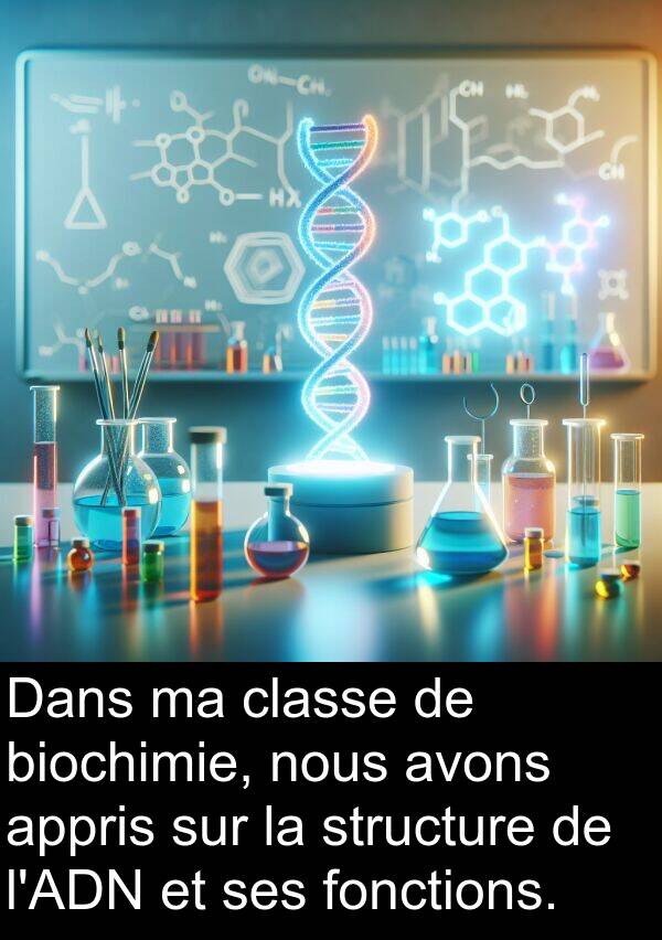 fonctions: Dans ma classe de biochimie, nous avons appris sur la structure de l'ADN et ses fonctions.