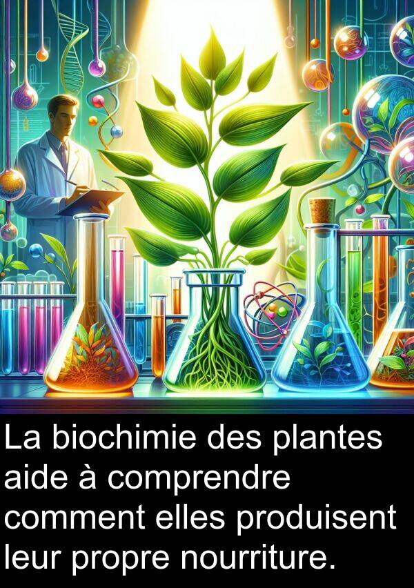 aide: La biochimie des plantes aide à comprendre comment elles produisent leur propre nourriture.