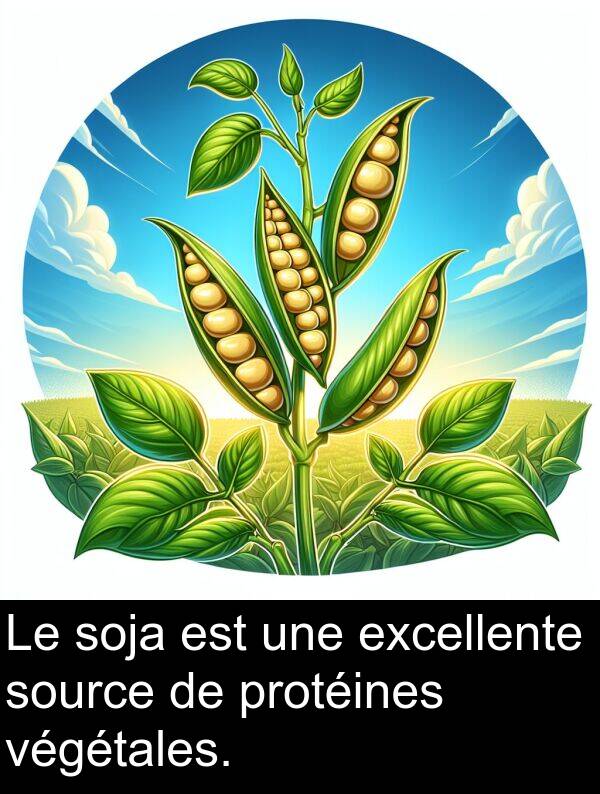 source: Le soja est une excellente source de protéines végétales.