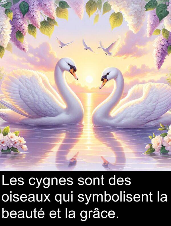 beauté: Les cygnes sont des oiseaux qui symbolisent la beauté et la grâce.