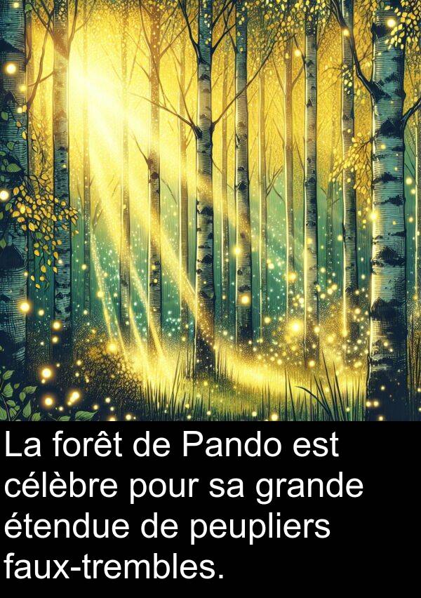 célèbre: La forêt de Pando est célèbre pour sa grande étendue de peupliers faux-trembles.