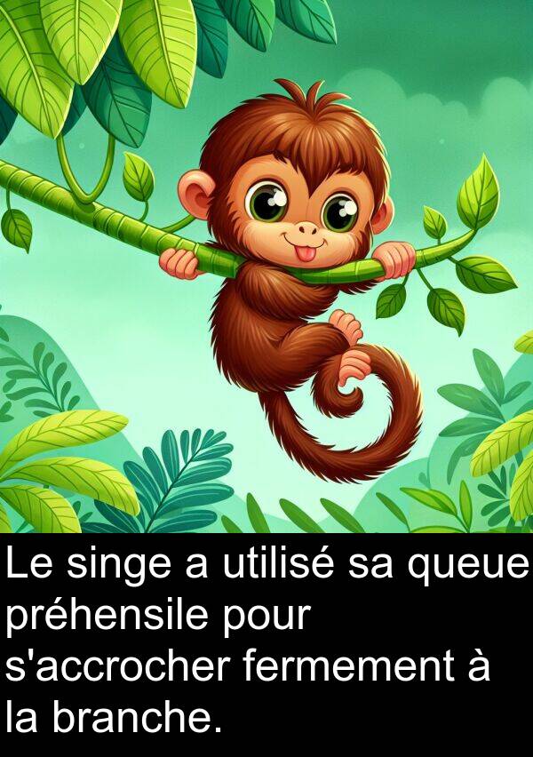 fermement: Le singe a utilisé sa queue préhensile pour s'accrocher fermement à la branche.