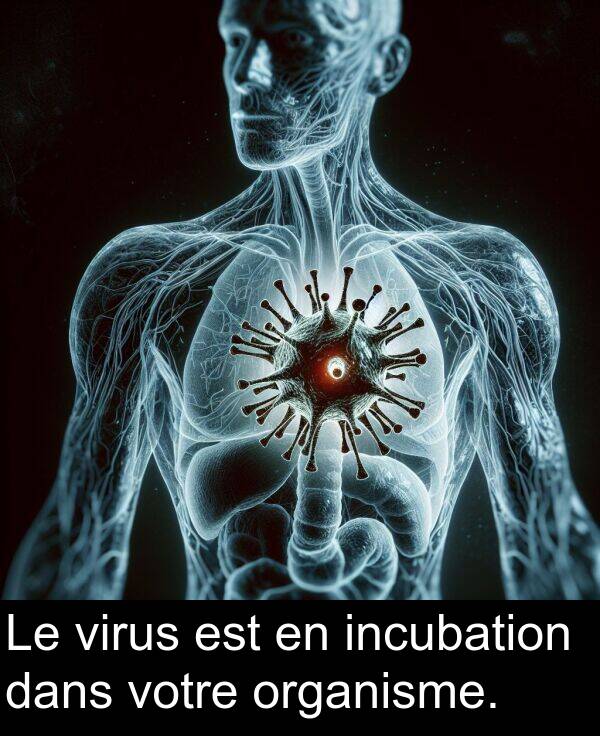 virus: Le virus est en incubation dans votre organisme.