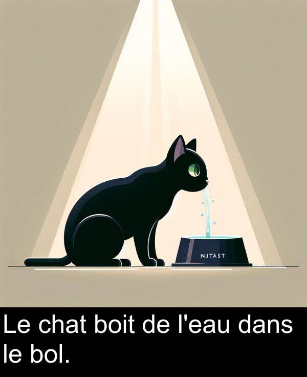 dans: Le chat boit de l'eau dans le bol.