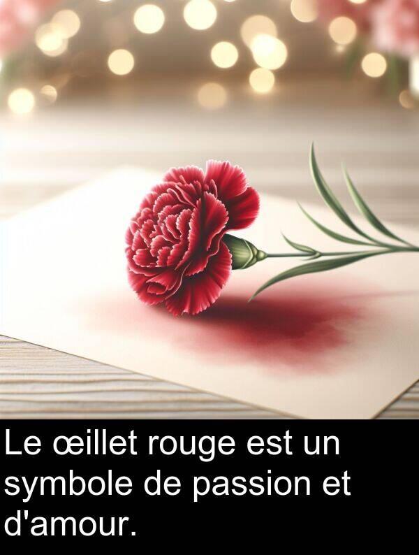 symbole: Le œillet rouge est un symbole de passion et d'amour.