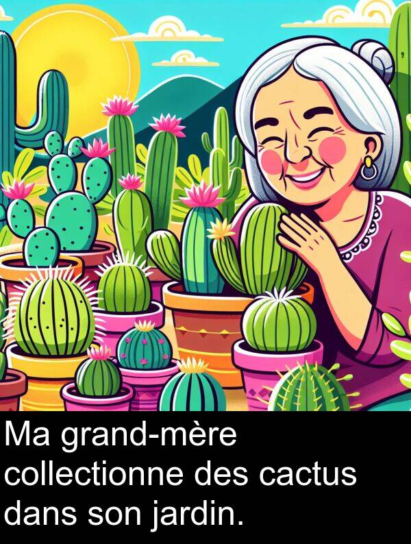jardin: Ma grand-mère collectionne des cactus dans son jardin.