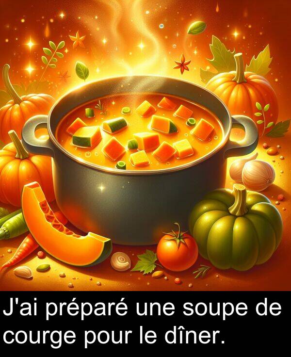 courge: J'ai préparé une soupe de courge pour le dîner.