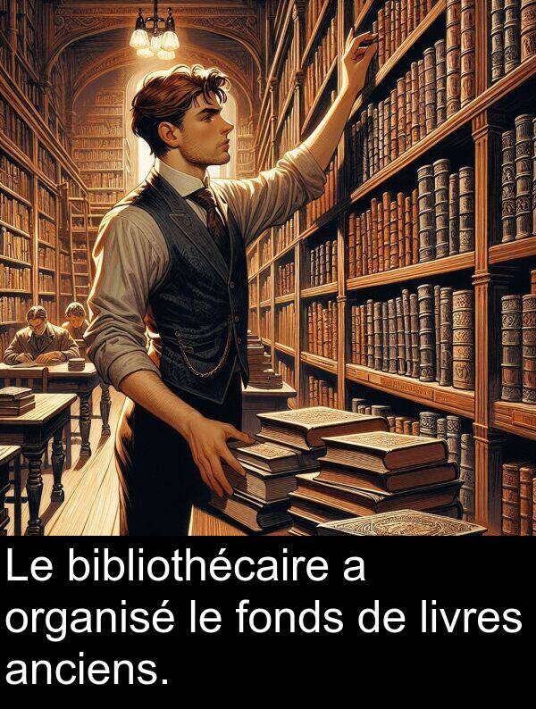 fonds: Le bibliothécaire a organisé le fonds de livres anciens.