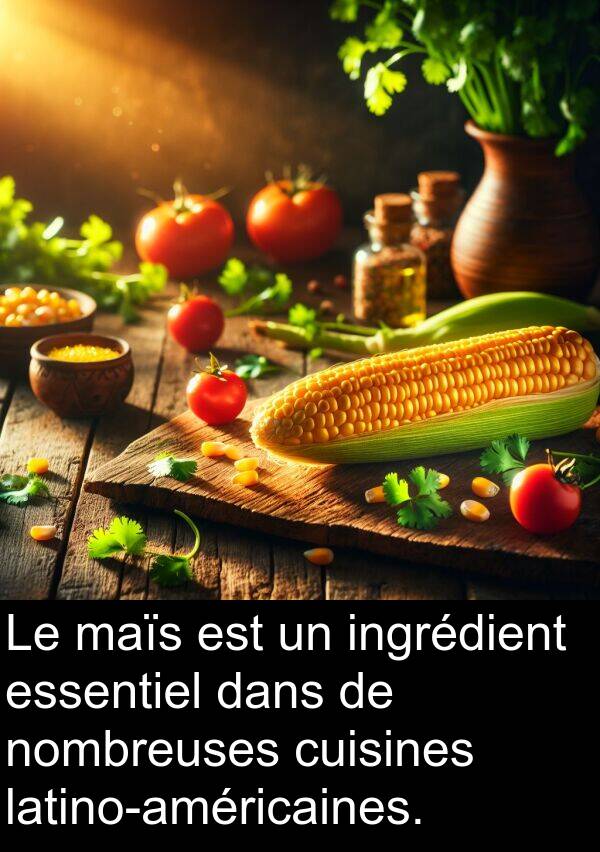nombreuses: Le maïs est un ingrédient essentiel dans de nombreuses cuisines latino-américaines.
