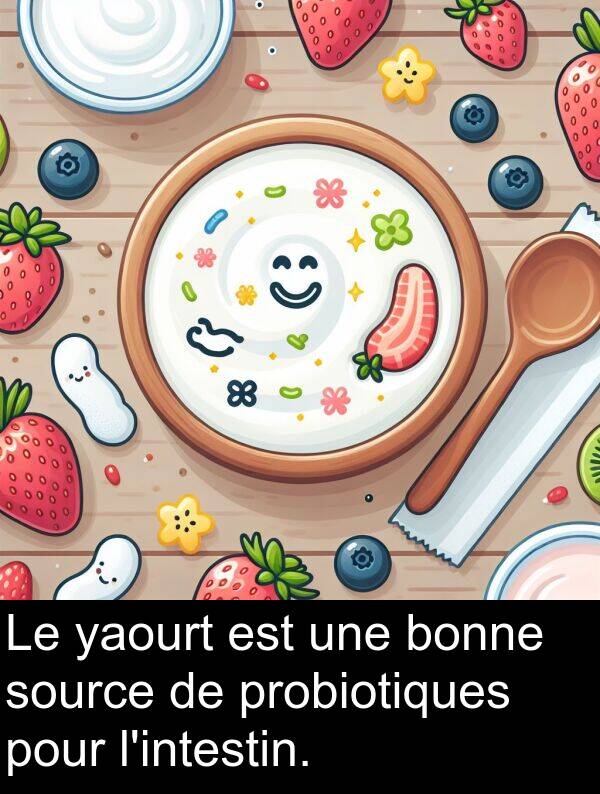 yaourt: Le yaourt est une bonne source de probiotiques pour l'intestin.