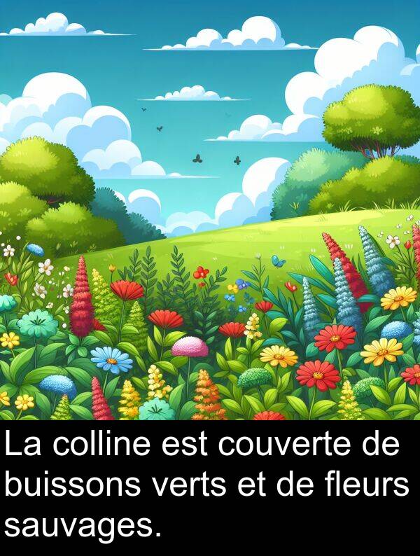 verts: La colline est couverte de buissons verts et de fleurs sauvages.