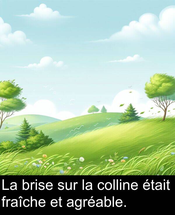 sur: La brise sur la colline était fraîche et agréable.