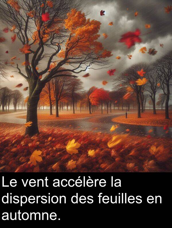 accélère: Le vent accélère la dispersion des feuilles en automne.
